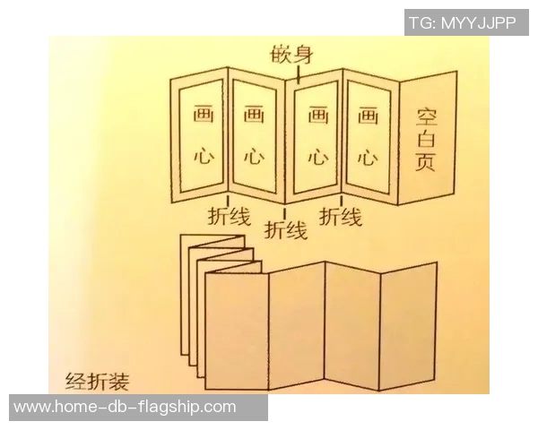 选择合适的足球鞋鞋码提升球场表现的全面指南 选择合适的足球鞋鞋码提升球场表现的全面指南